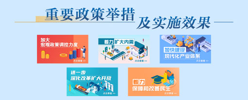 重要政策舉措及實施效果